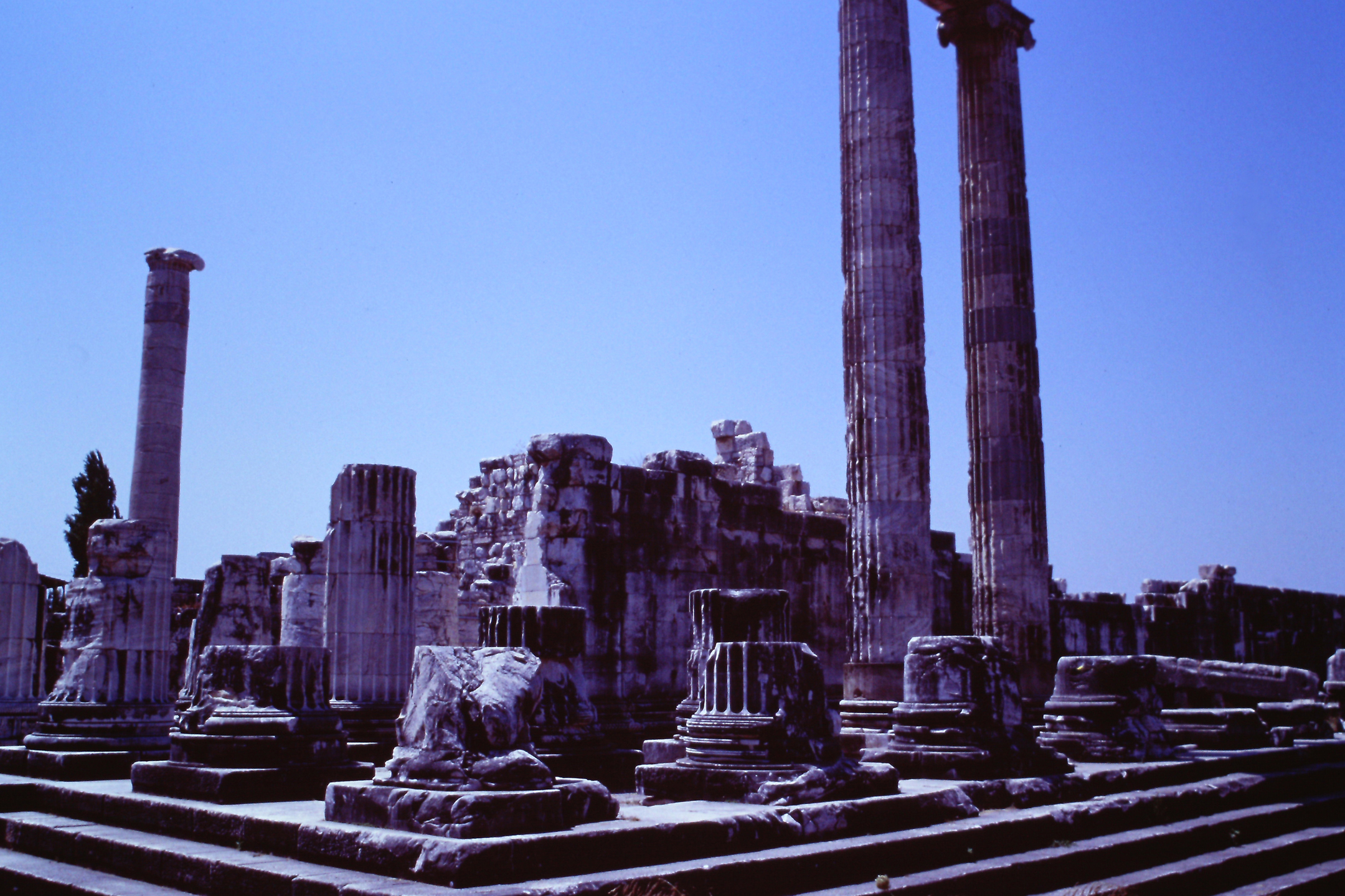 ディディムのアポロン神殿