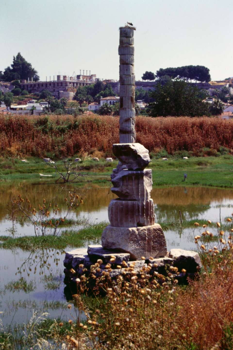 アルテミス神殿の柱